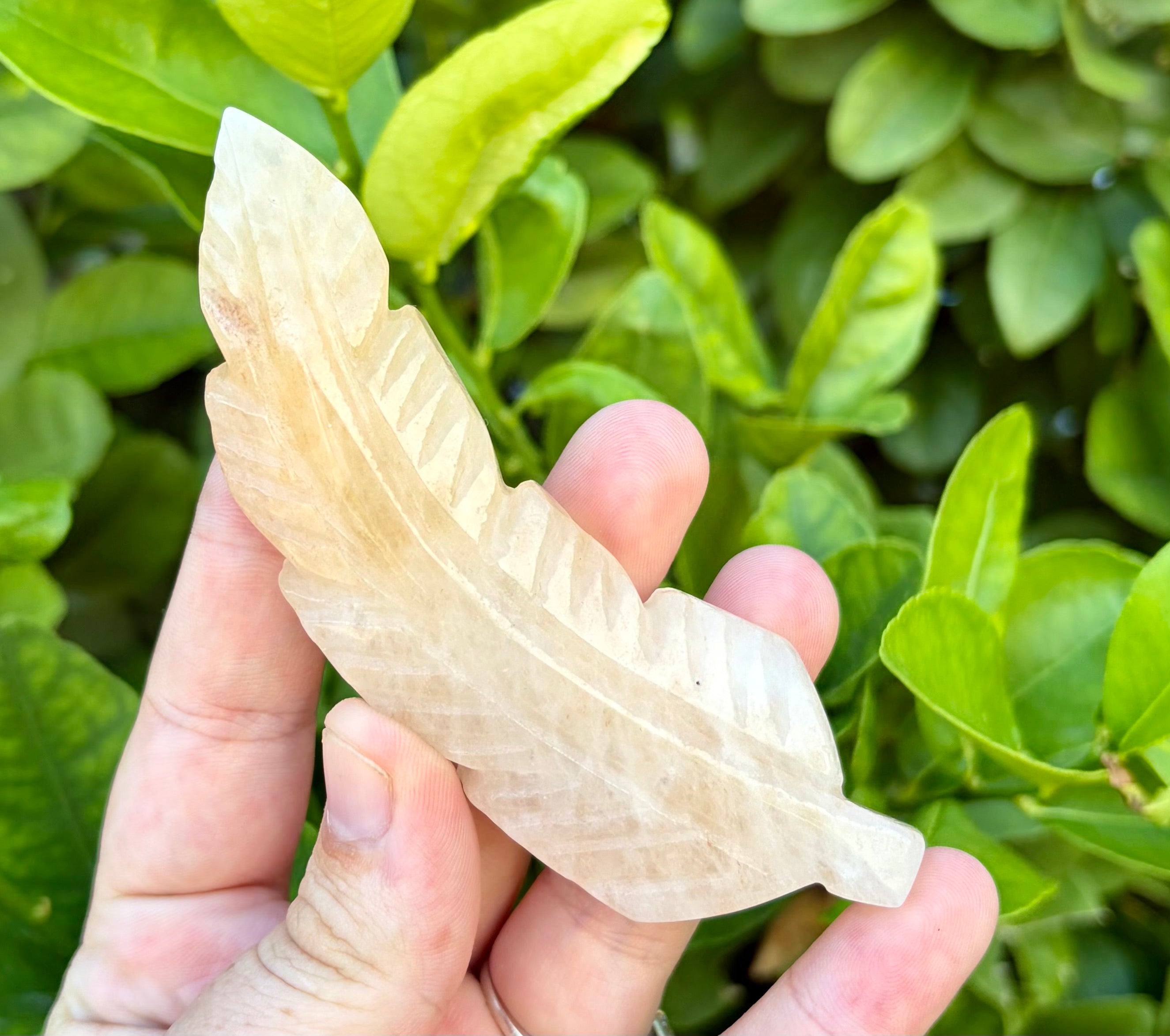 Rose quartz feather