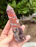 Red Mexican crazy lace tower