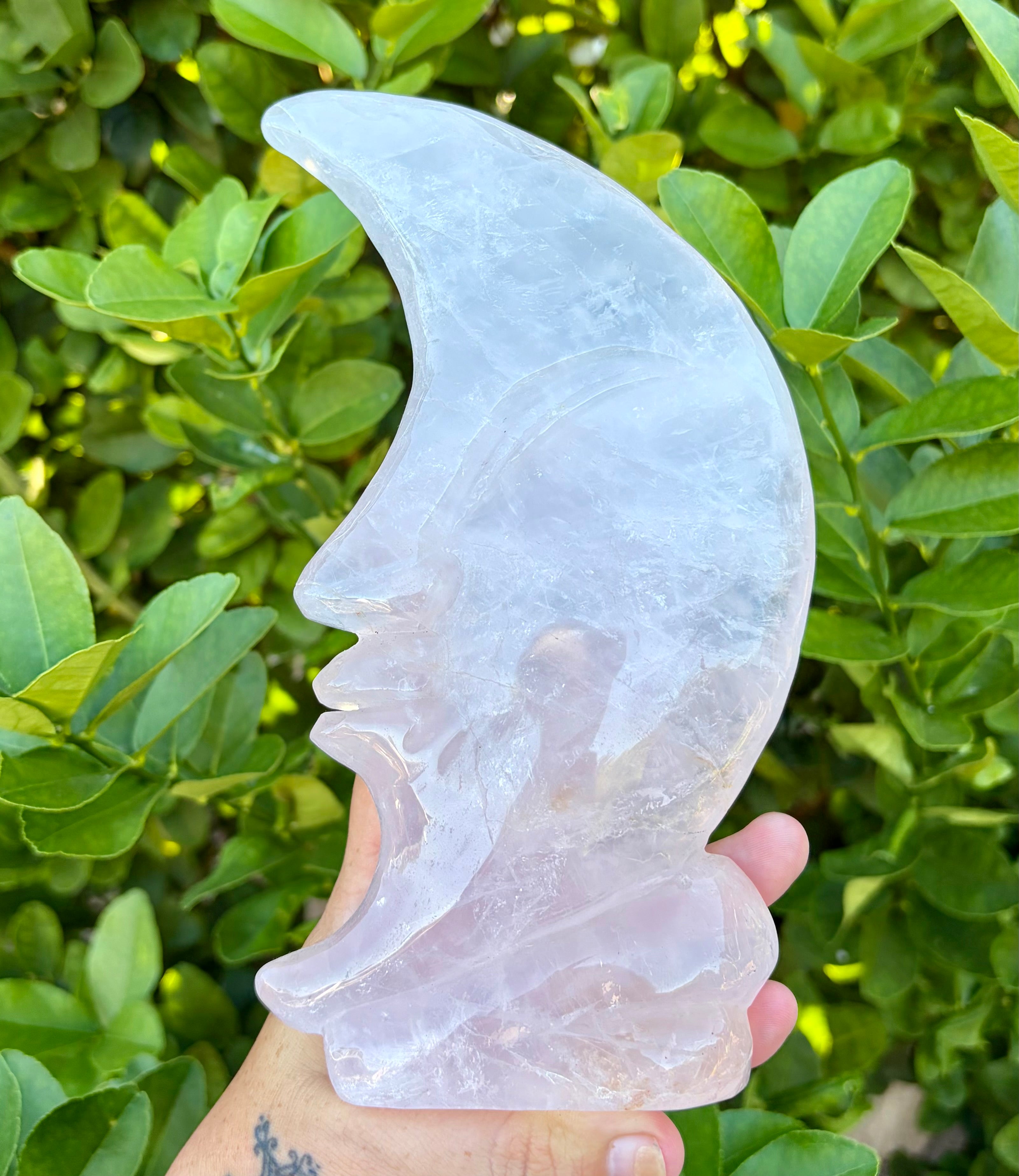 Large Rose quartz moon carving
