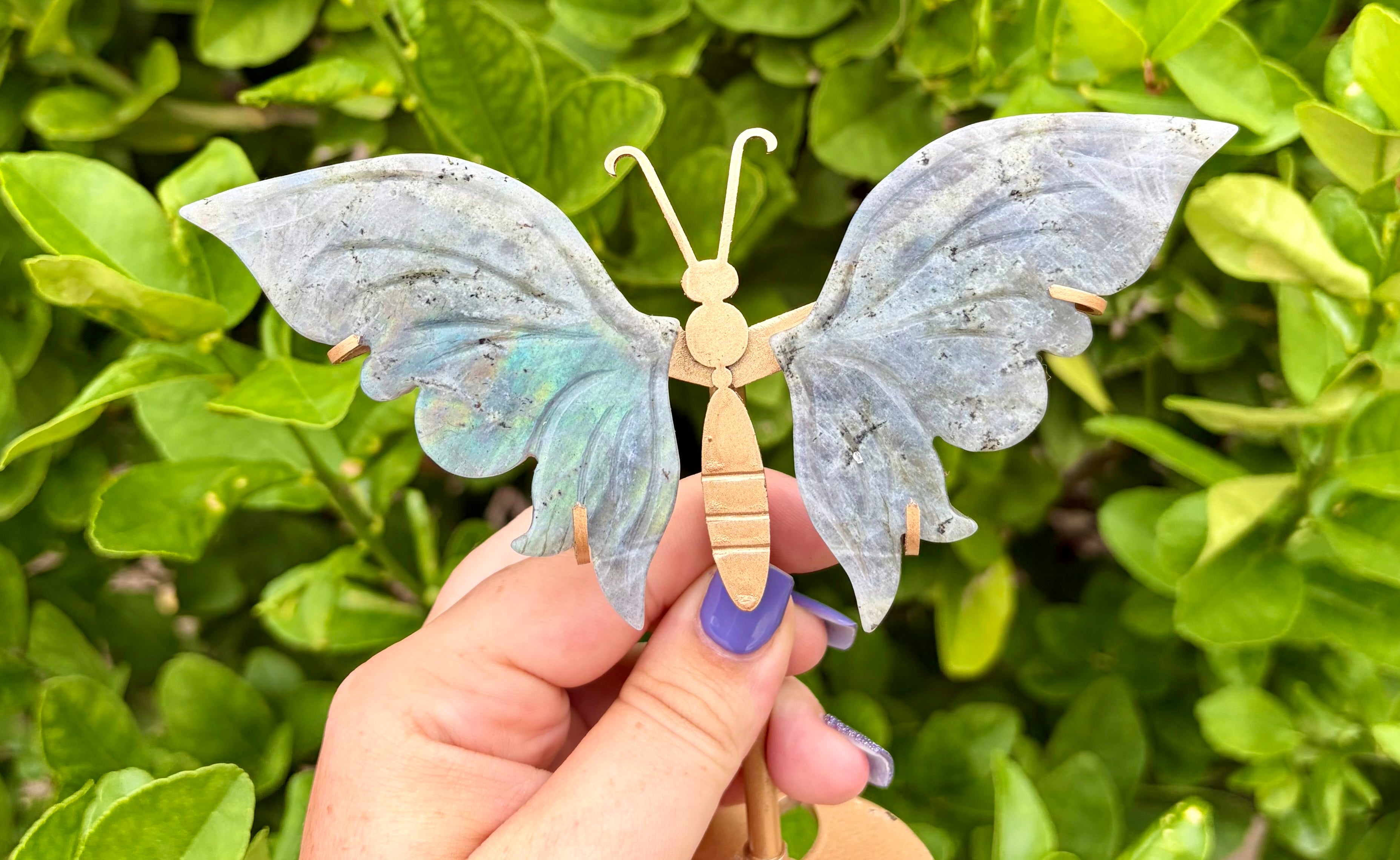 Labradorite wings