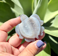 Druzy agate turtle e