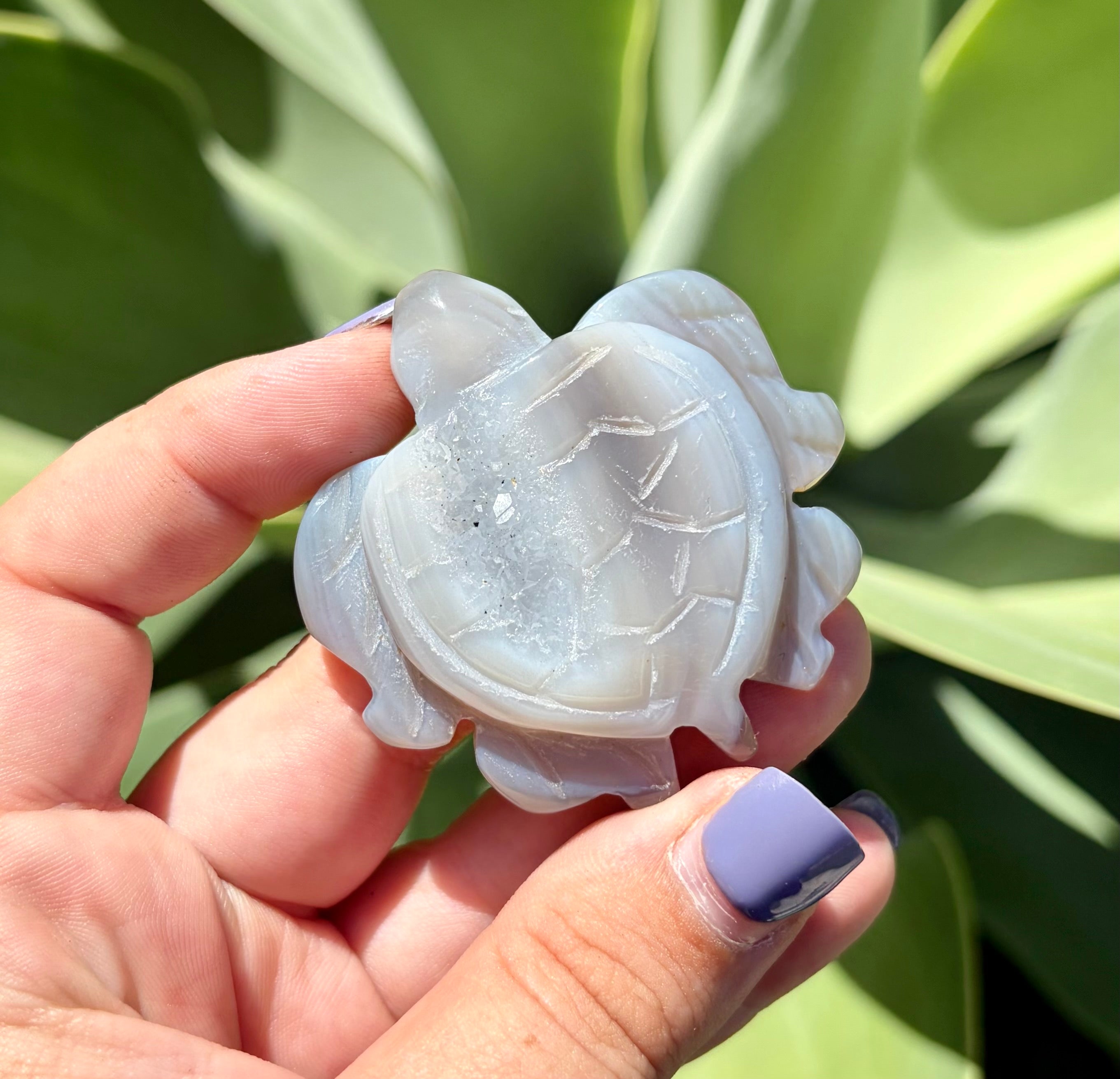 Druzy agate turtle e