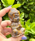 Fruit jasper Buddha