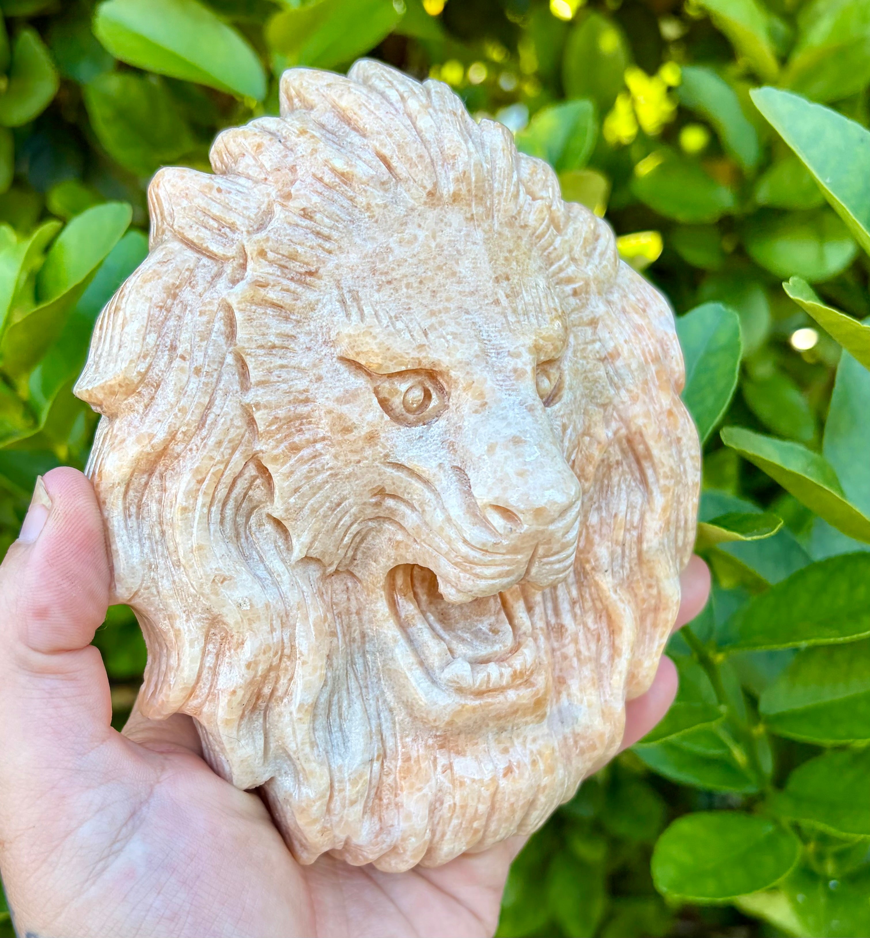 Sunstone lion head