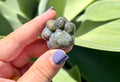 Ocean jasper paw