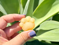 Yellow calcite paw