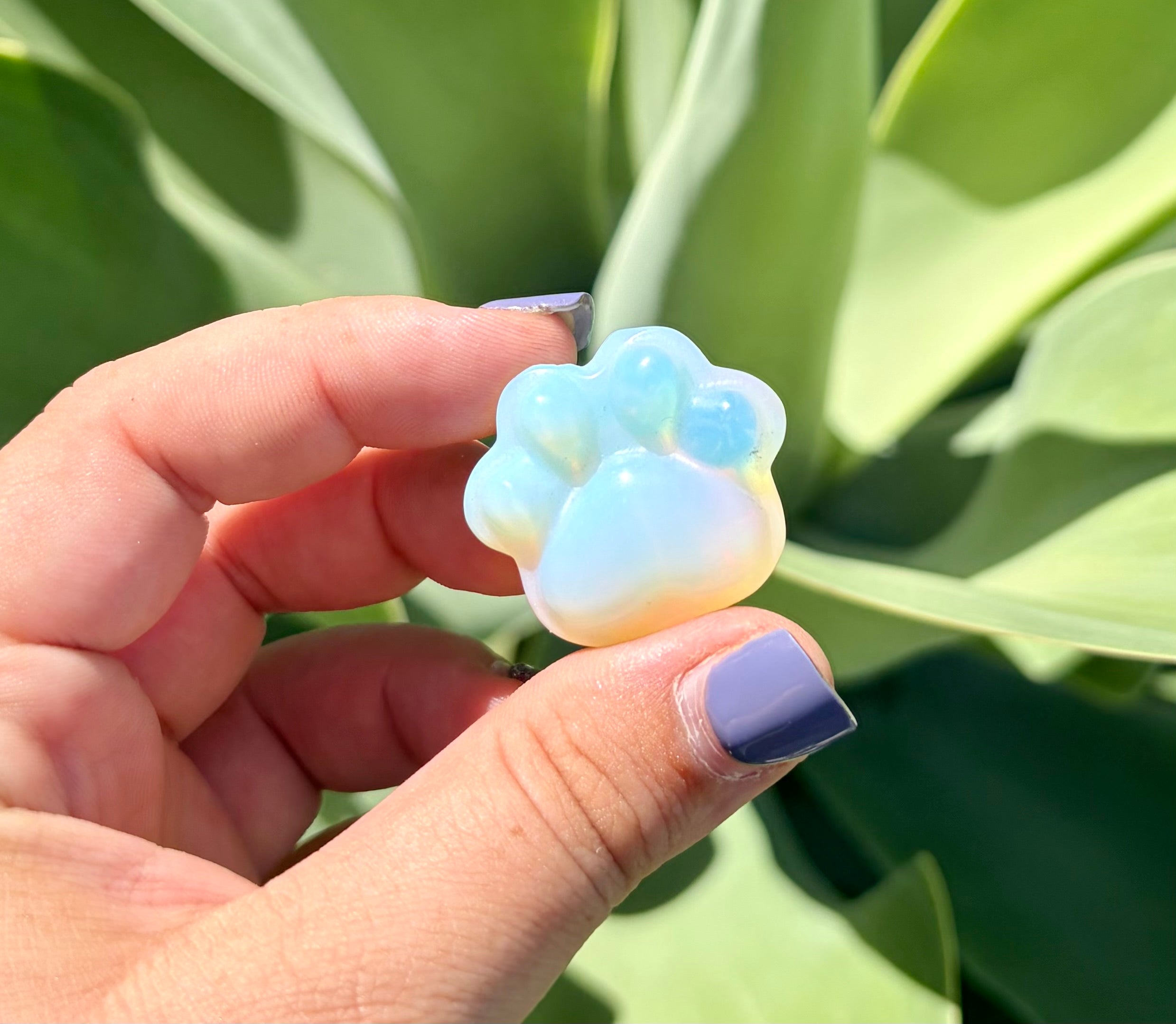 Opalite paw