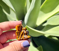 Iron Tiger eye fairy