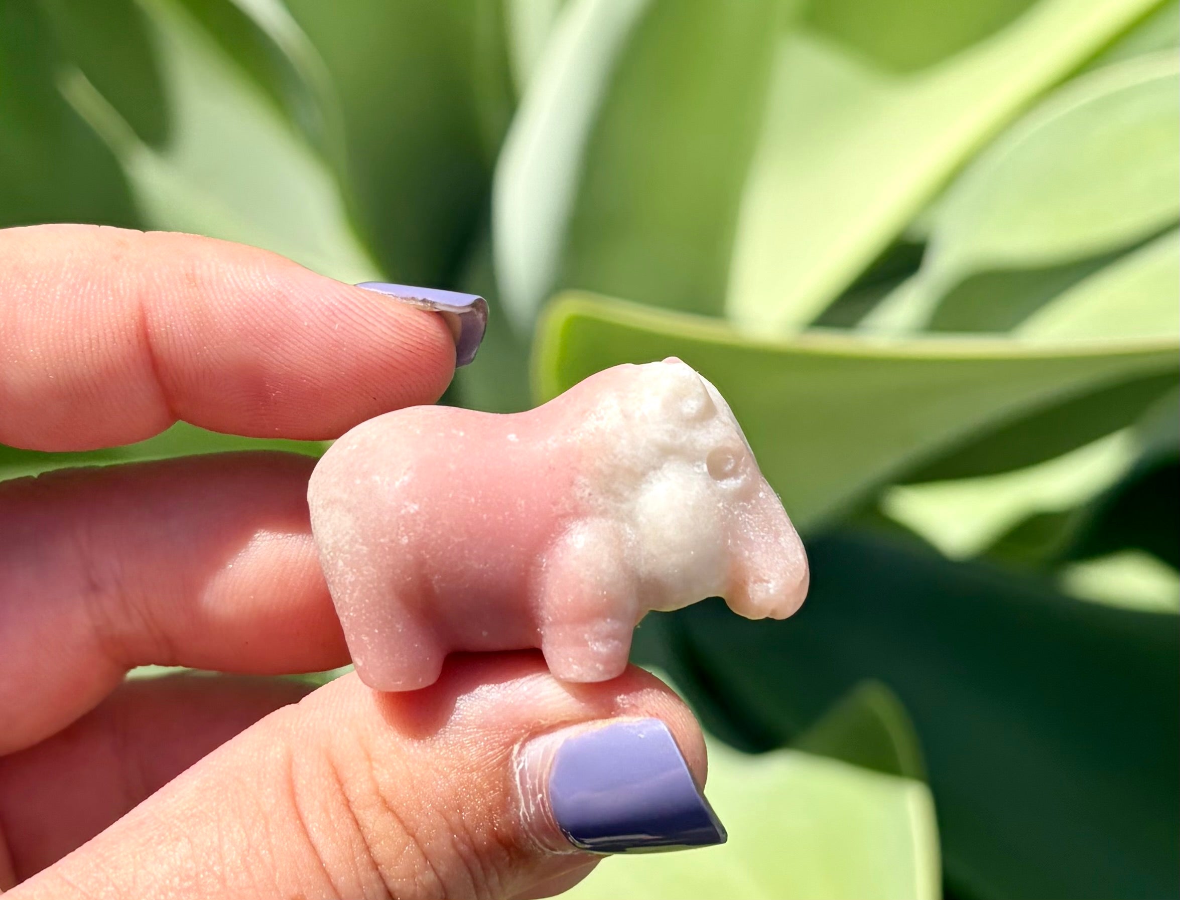 Pink opal hippo