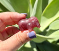 Strawberry quartz hippo