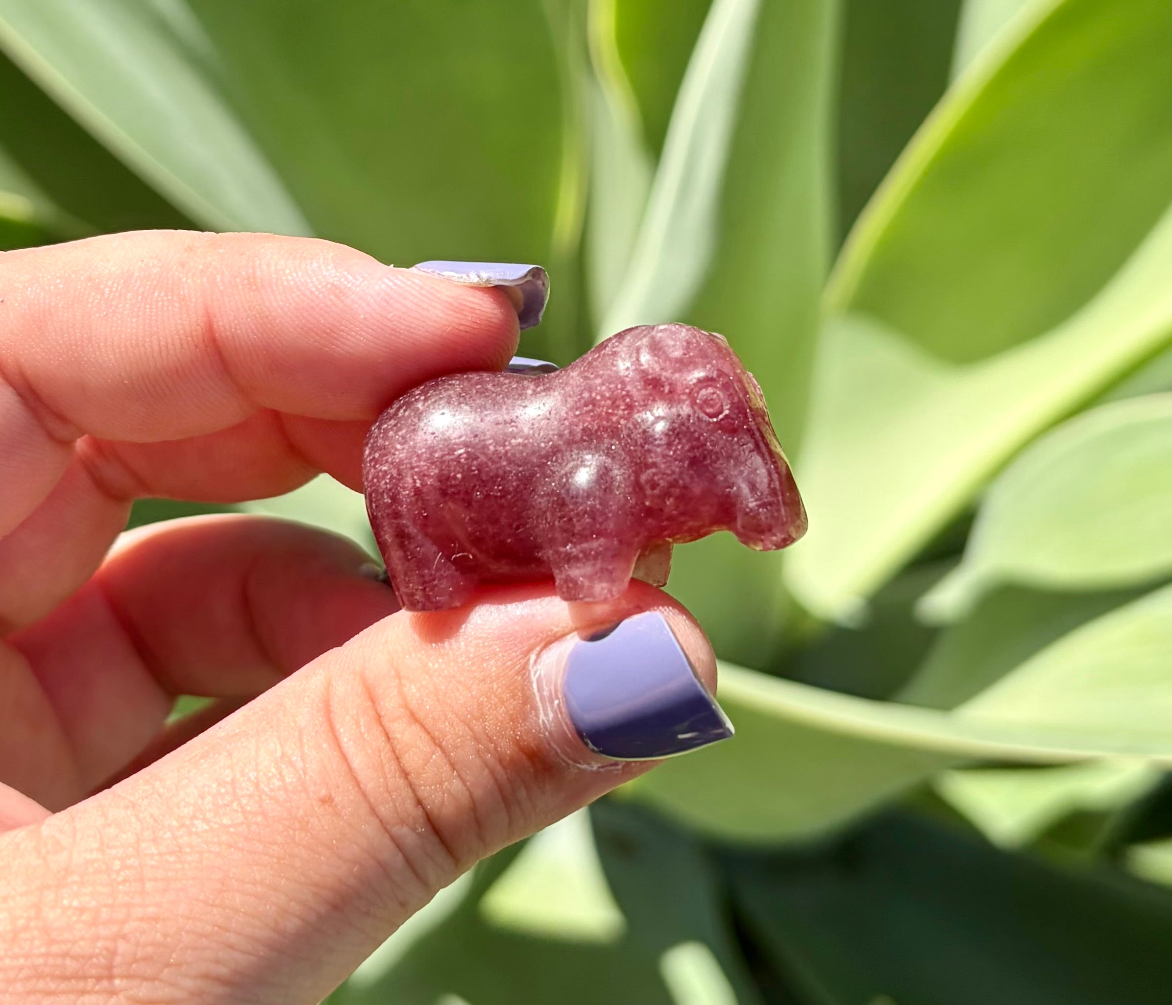 Strawberry quartz hippo