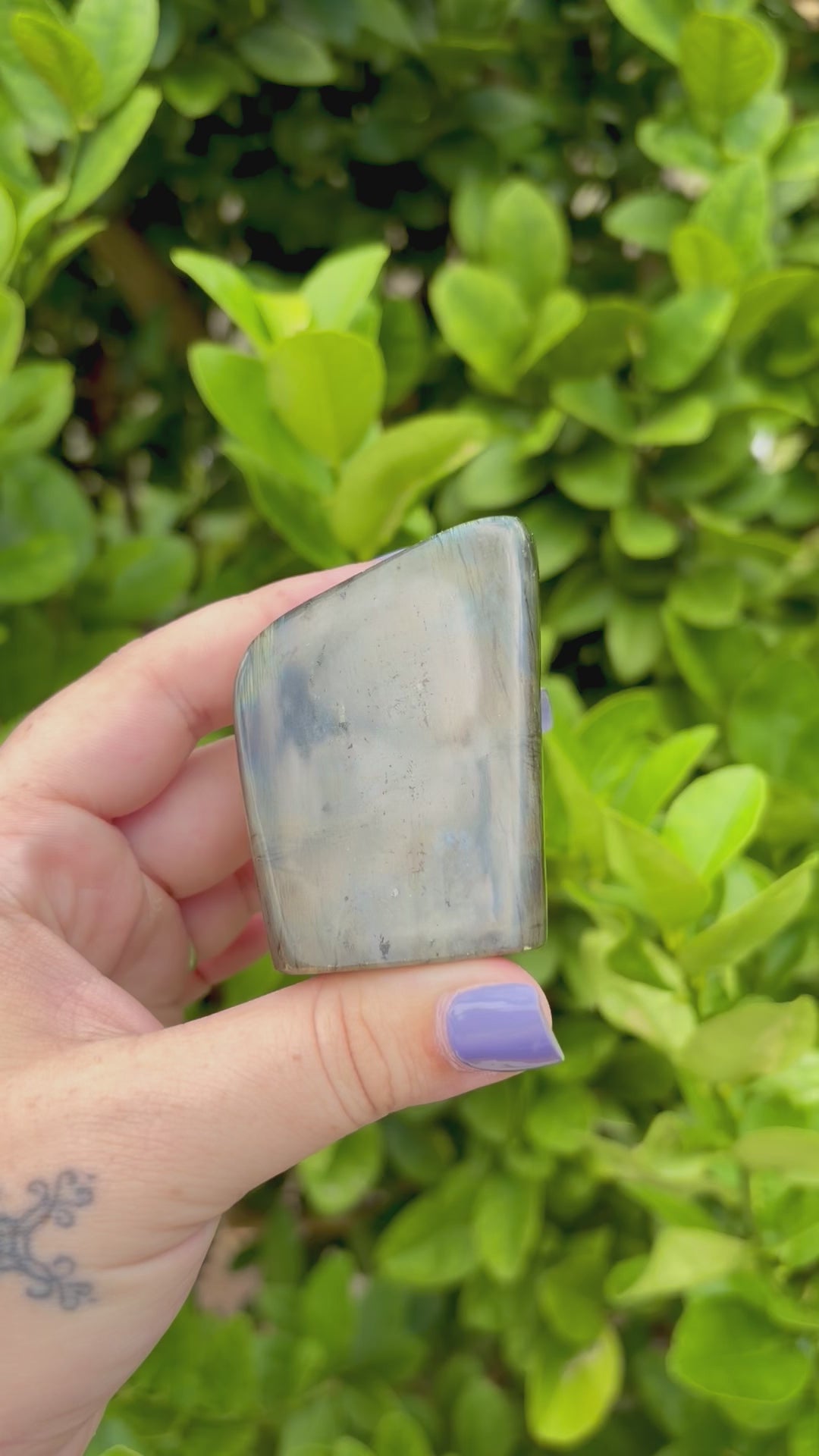 Orange and blue flash Labradorite free form