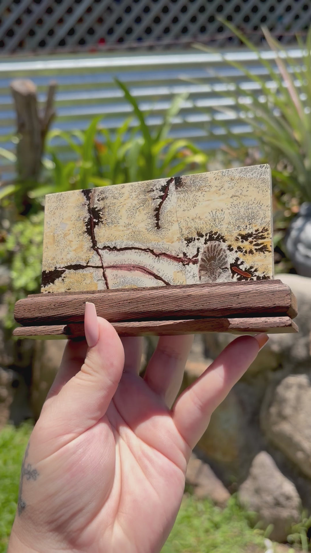 Picture jasper slab B