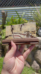 Picture jasper slab B